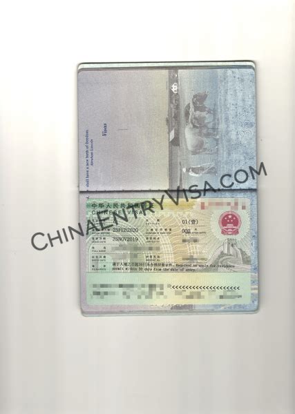 中国团队签证 China Group Visa Service | 中国领事代理服务中心