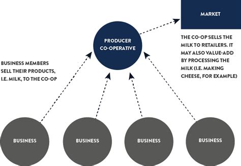 Co-operative Organizational Structure 的图像结果