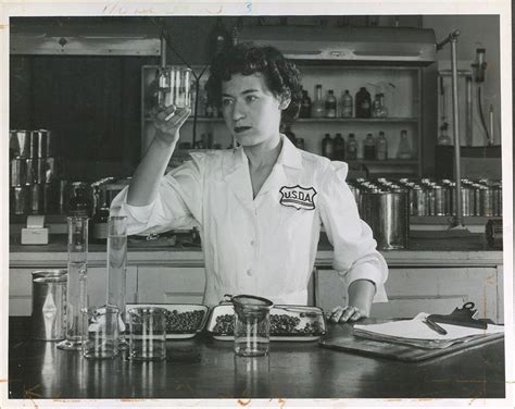 Image result for Food Sampling