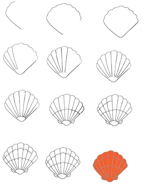 Seashell Drawing Tutorial 的图像结果