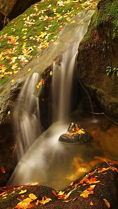 Iphone Aesthetic High Quality Fall Wallpaper by Wallpaper Weekends Fall Has Fell Autumn Wallpapers For Iphone Aesthetic High Quality Fall Wallpaper