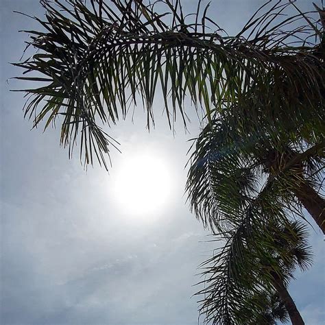 LA FIESTA OCEAN INN & SUITES (Saint Augustine Beach) - Hotel Reviews ...