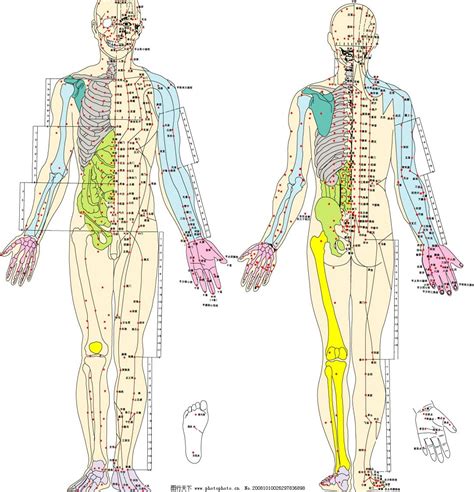 标准经穴部位图人体经络图挂图穴位图健康疗法挂图双面-阿里巴巴