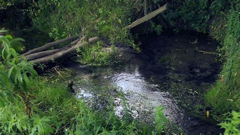 Image result for Fillongley Spring Water Source