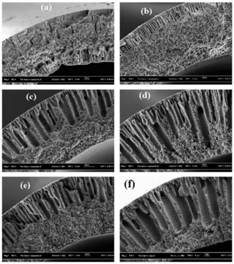 A Review on Hollow Fiber Membrane Contactors for Carbon Capture: Recent ...