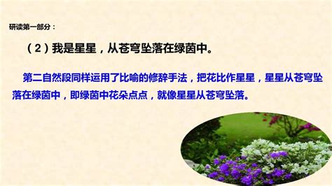 丁香花的作文400字左右六年级(丁香花的作文)_草根科学网