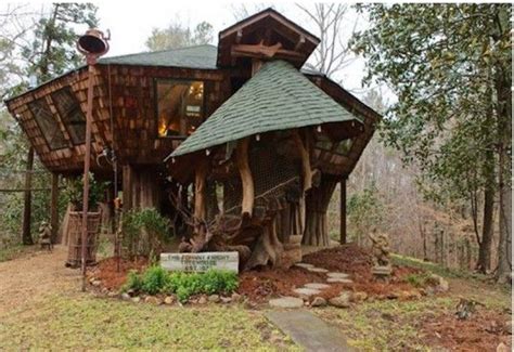 Image result for Tree House Octagonal Building