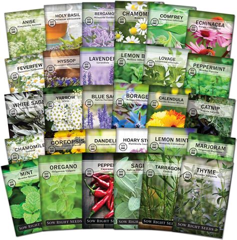 Amazon.com : Sow Right Seeds - Extra Large Medicinal Herb Seed ...