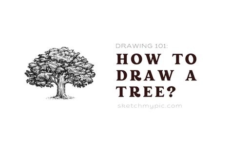 Image result for Scetching Lesson How to Draw a Tree