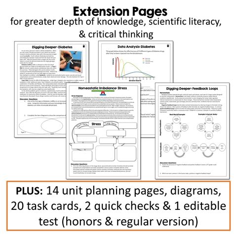 Image result for Endocrine System Lesson