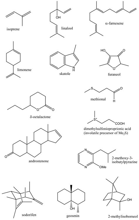 Volatile Metabolites