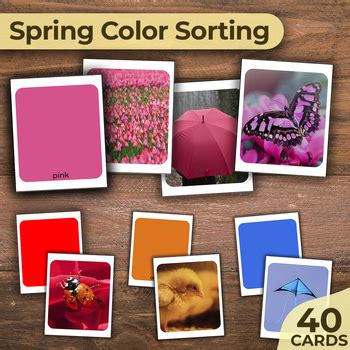 Image result for Spring Sorting Colours