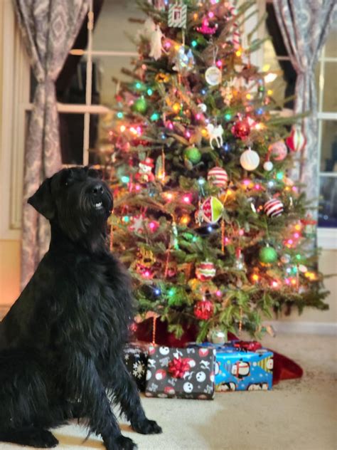 IG Stories - Pink Bikini at the Beach : r/GalinaDubenenkoo