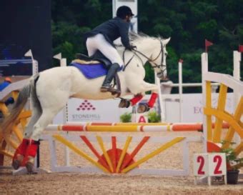 Horse riding school in Bangalore|Horse riding classes