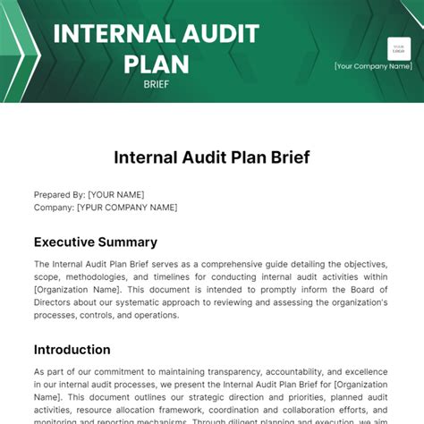 Image result for Internal Audit Program Template