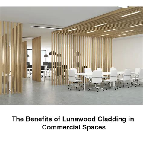 Lunawood Cladding in Commercial Spaces: Creating Durable Exteriors