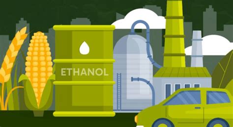 Grain Ethanol Could Save India Rs 1.28 Lakh Cr By 2030: Report - BW ...