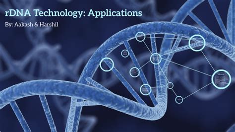 rDNA Technology Grade 12 的图像结果