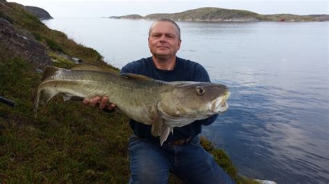Image result for Atlantic Cod Fishing