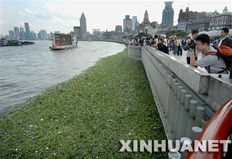 上海水资源丰富，为何依旧面临水资源短缺的问题？_凤凰网视频_凤凰网