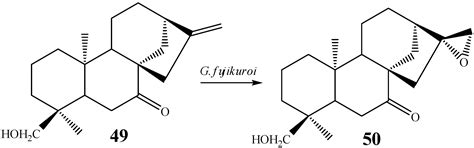 The Remarkable Structural Diversity Achieved in ent-Kaurane Diterpenes ...