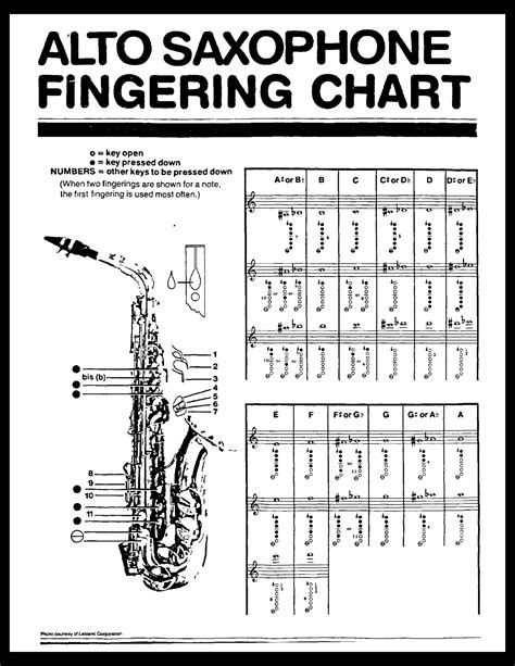 Fillable, Printable Alto Saxophone Fingering Chart blank | PDFliner