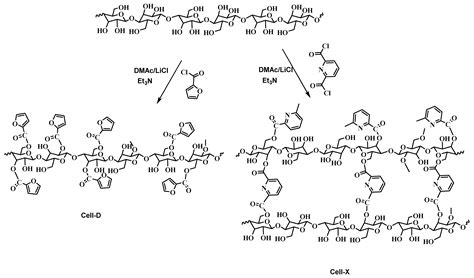 Cellulose-Based Hectocycle Nanopolymers: Synthesis, Molecular Docking ...