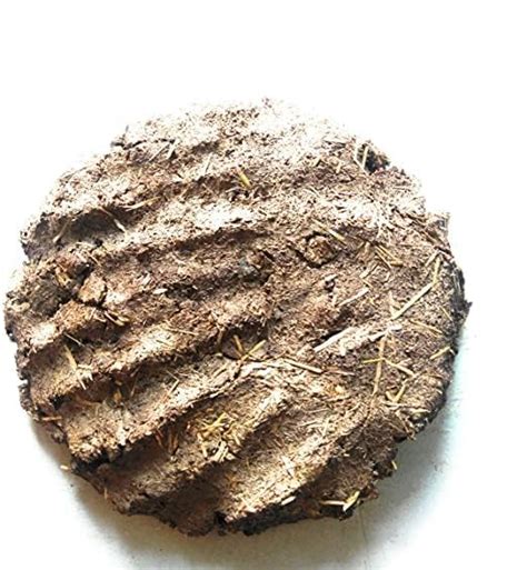 Kamdhenu Cow Dung Cake - 100% Natural Indigenous Cow Dung - Handmade ...