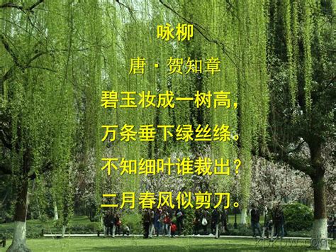 《游园不值》古诗鉴赏中国风教育教学课件 - 彩虹办公