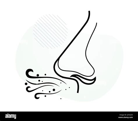 Human Nose - Smell and Breathe - Stock Illustration as EPS 10 File Stock Vector Image & Art - Alamy