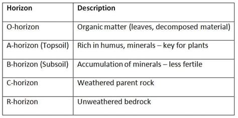 Cheat Sheet Soils - Geography for State PSC Exams - BPSC (Bihar) PDF ...