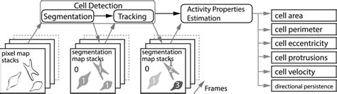 Image result for Data Processing Layer Image