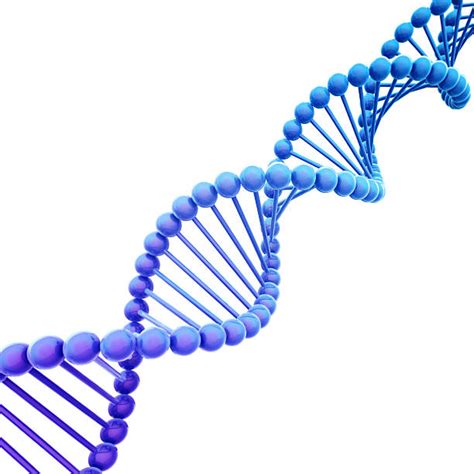 Image result for DNA and Computer Code