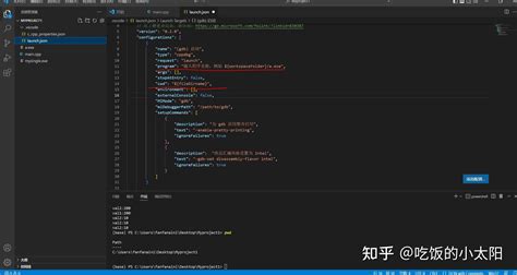 Setting JSON CMake Vscode 的图像结果