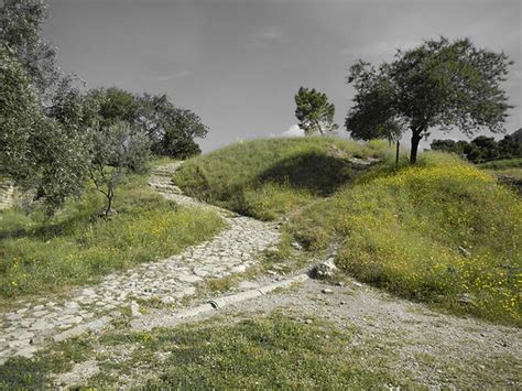 Greenscreen Architecture 的图像结果