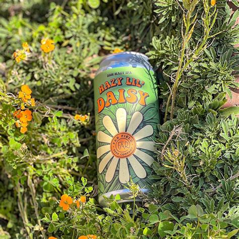 FAR FIELD BEER COMPANY