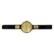 Buy Sports Wear WWE Big Gold World Heavy Weight Championship Replica ...