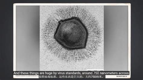 病毒到底是什么，为什么会让人生病∷北京鑫汇普瑞科技发展有限公司