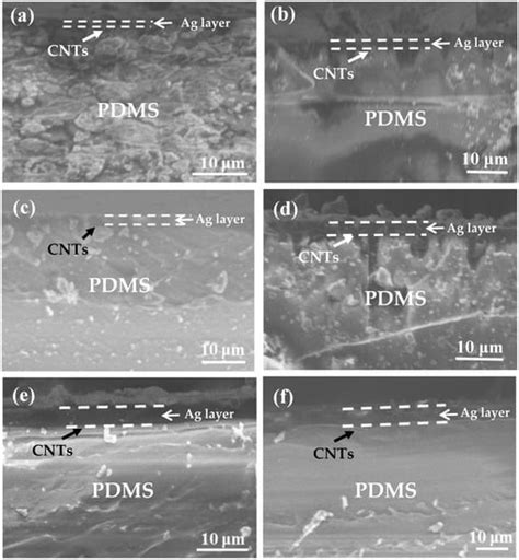 A Wrinkled Ag/CNTs-PDMS Composite Film for a High-Performance Flexible ...