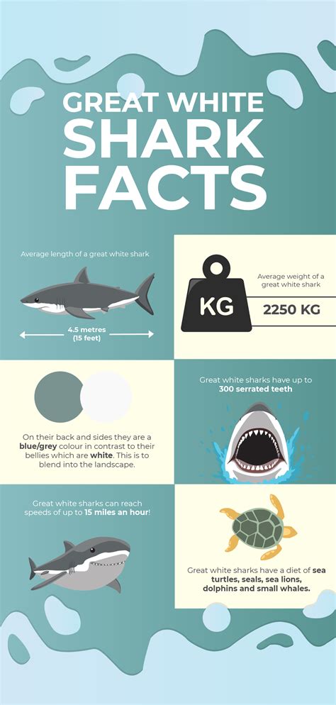 Printable Shark Fact Sheet