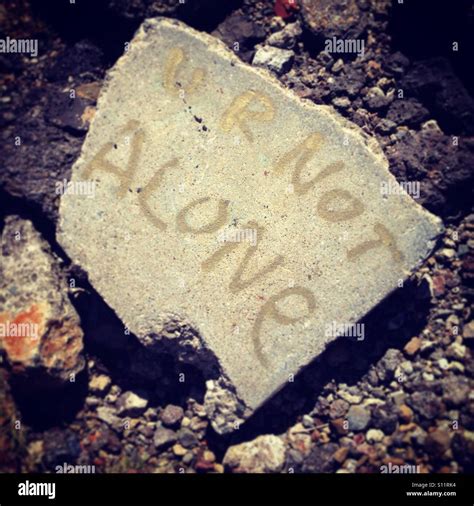 The Albany Bulb is a unique waterfront park located along the San ...