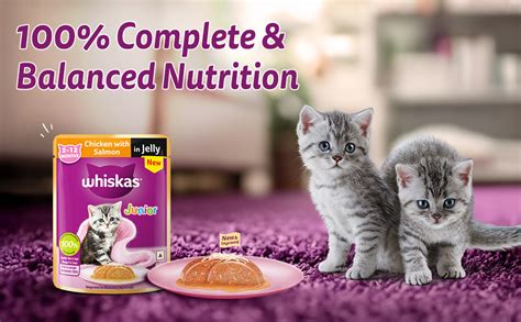 Whiskas Junior Kitten (2-12 Months) Wet Cat Food, Chicken with Salmon ...