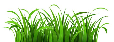 Grass Patch PNG Clipart | Clipart Panda - Free Clipart Images
