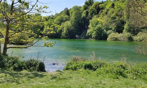 SWANBOURNE LAKE (2025) All You Need to Know BEFORE You Go (with Photos ...