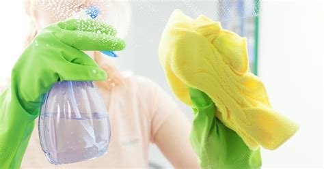 Image result for Spring Clean House