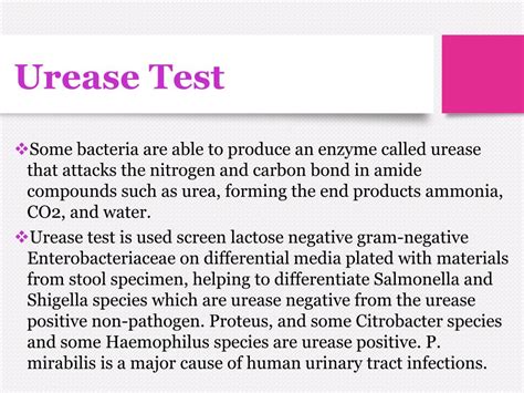 Image result for Urease Pronounce