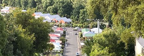 Dunedin Tourism: All You Need to Know Before You Go (2026)