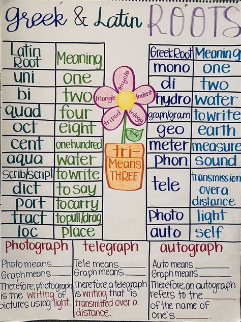 Greek & Latin Root Anchor Chart - Etsy Ireland