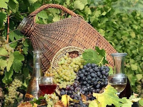 Complimentary Saturday Tasting: Explore 6 Wines of The World, WineNot ...