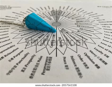 SRT Self-Rescue 的图像结果